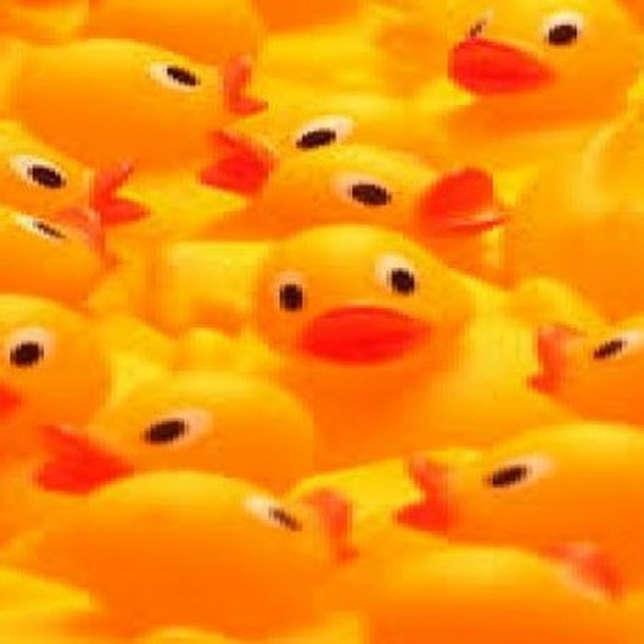 Meet your Posher, Lucky duck's - Picture 1 of 1